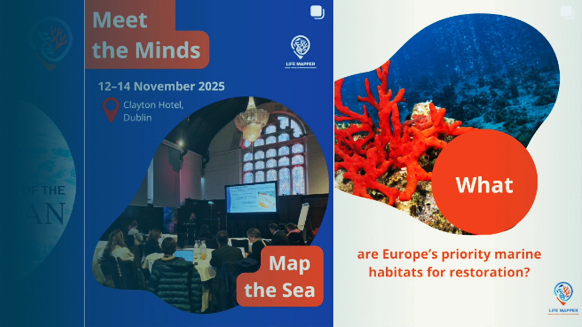 Carousels with visuals